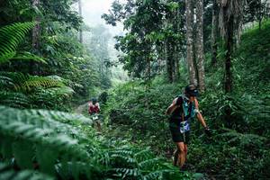 BIB: 
                            <button type="button" onclick="openModal(26359177)" class="btn btn-primary btn-sm float-right btn-popup" data-toggle="modal" data-target=".modal-high-quality">
                        <i class="fas fa-shopping-cart"></i> Add to Cart
                    </button>
                                            <button type="button" onclick="isThisMe(26359177, true)" class="btn btn-success btn-sm float-right btn-popup btn-isme hidden" data-toggle="tooltip" data-placement="bottom" title="นี่คือรูปของคุณใช่ไหม คลิกที่นี่เพื่อเอาเข้าอัลบั้ม">
                        <i class="fas fa-plus"></i> Add to album
                    </button>
                    <button type="button" onclick="isThisMe(26359177, false)" class="btn btn-warning btn-sm float-right btn-popup btn-isnotme hidden">
                        <i class="fas fa-ban"></i> Remove from album
                    </button>